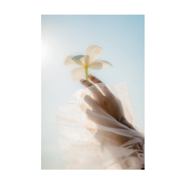 墨丸は、想いを紡ぐ<br />
小さな方舟